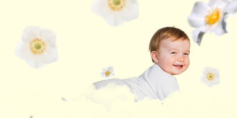 Meadowbrook for Baby